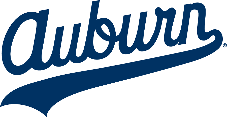 Auburn Tigers 1985-1994 Wordmark Logo DIY iron on transfer (heat transfer)